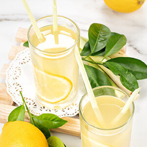 Lemon Juice / มะนาวโซดา (สไตล์อินเดีย)